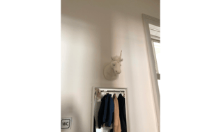 ed1453d71883205a2bc30da642aa05bb.jpeg
