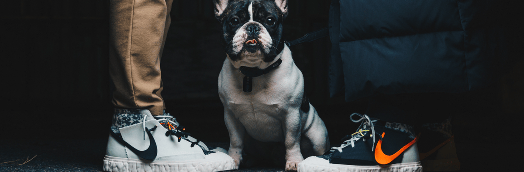 FLEXDOG - Cover photo