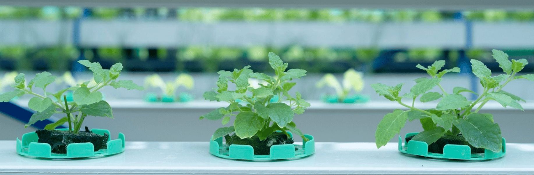 Future Farming s.r.o. - Cover photo