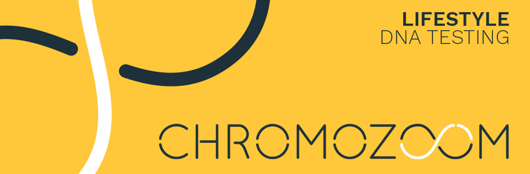Chromozoom - Cover photo