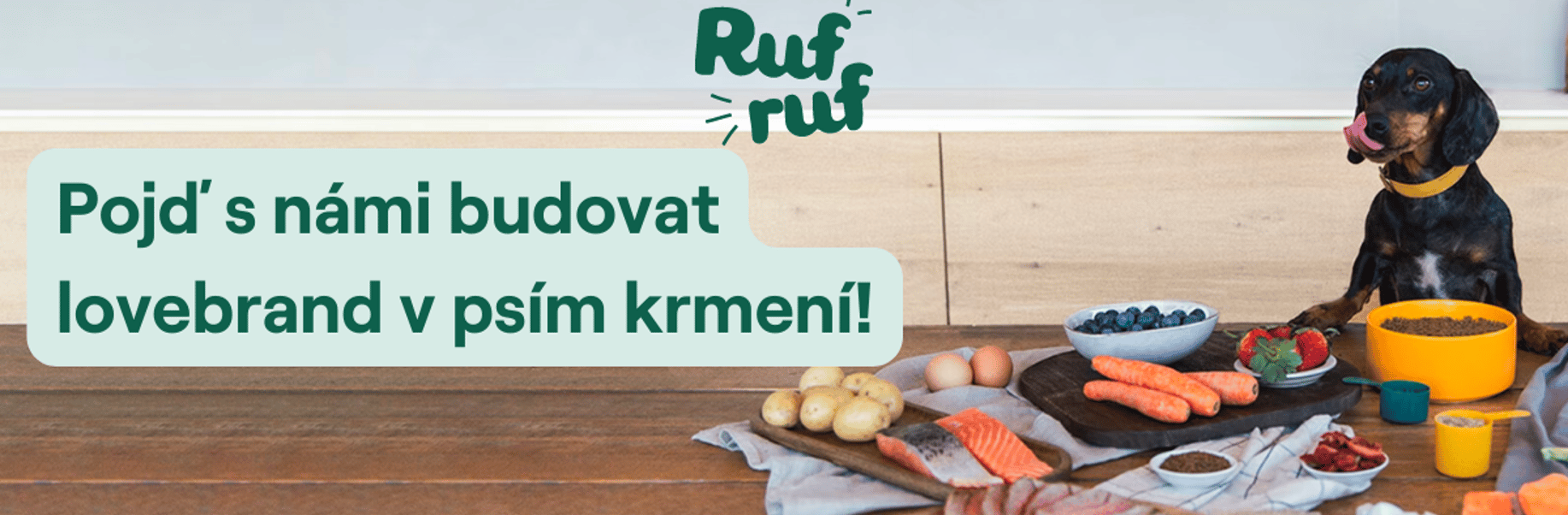 Rufruf s.r.o. - Cover photo