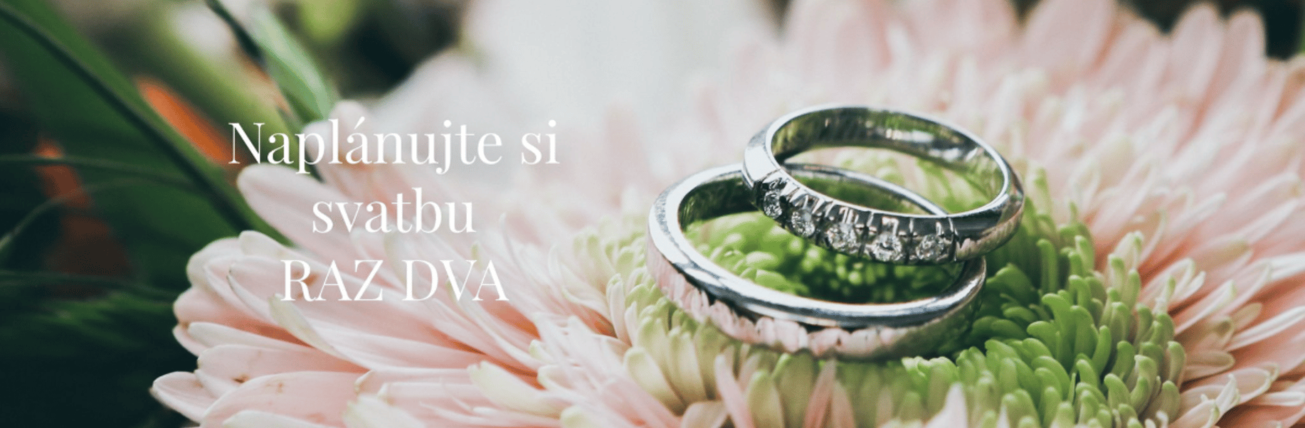 Svatba.cz s.r.o. - Cover photo