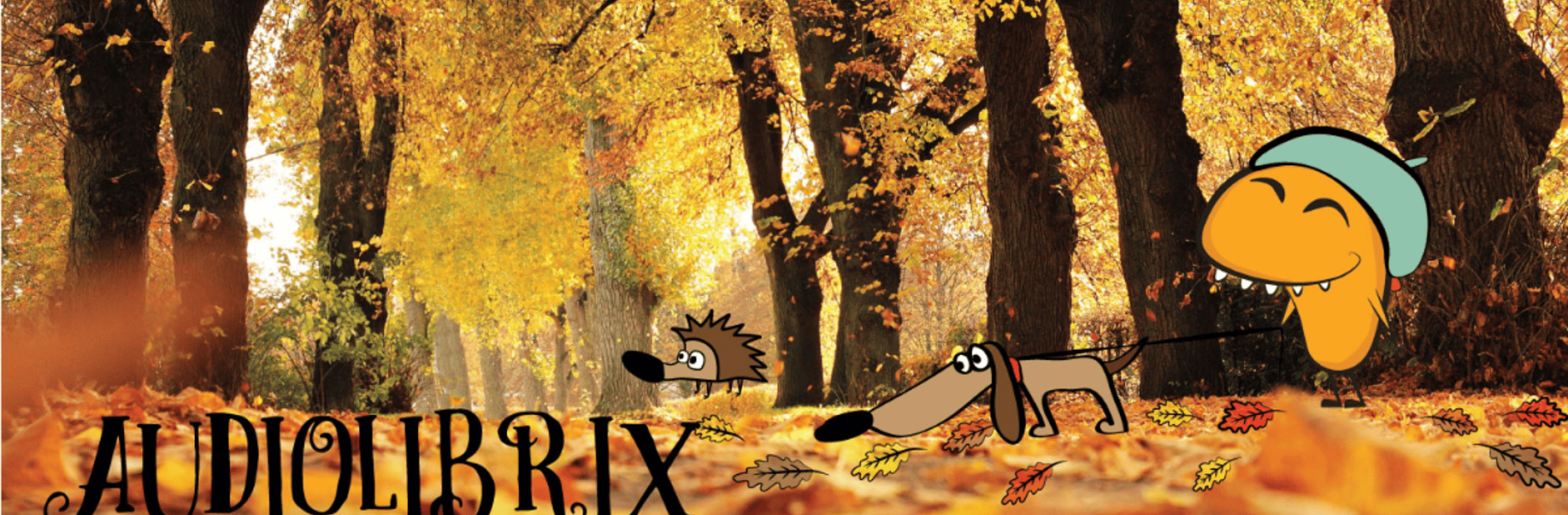 Audiolibrix - Cover photo