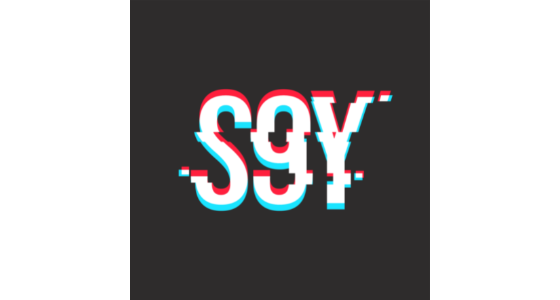 S9Y - logo