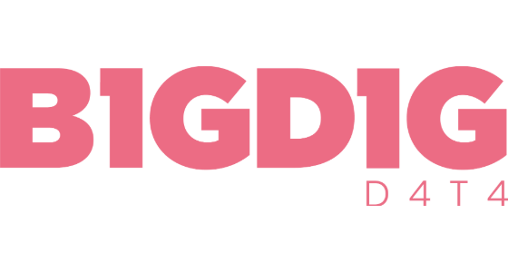 Big Dig Data s.r.o. - logo