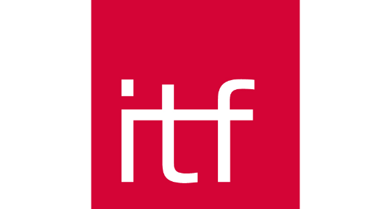 IT Frankfurt GmbH - logo