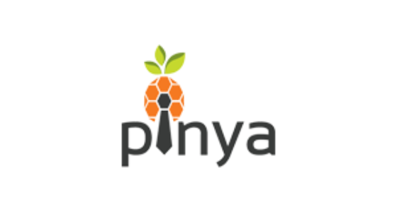 PINYA s.r.o. - logo
